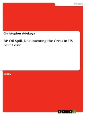 cover image of BP Oil Spill. Documenting the Crisis in US Gulf Coast